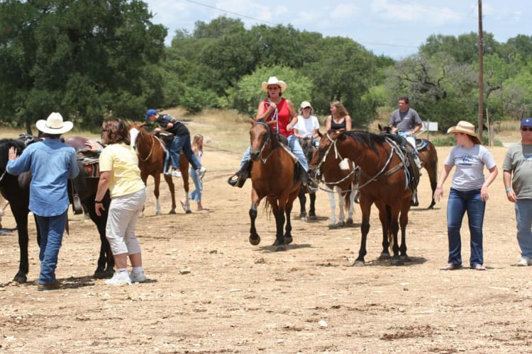 Back to corral